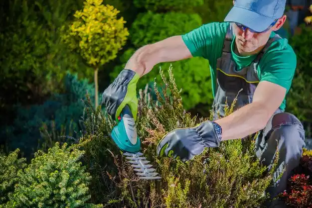 landscaping services Shepherd